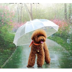 Smycz - parasol dla psa