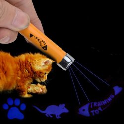 Laser w kształcie rybki dla ,kota