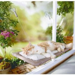 Legowisko na okno - hamak dla kota na szybę lub drzwi