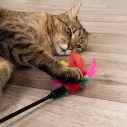 Wędka z kolorowymi piórkami - zabawka dla kota
