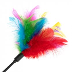 cat fishing rod with colorful feathers
