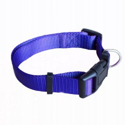 Strong Nylon Collar For A Dog, Cat