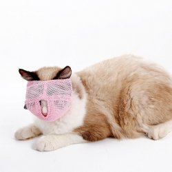Nylon Muzzle For A Cat