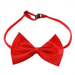 Tie for a dog a cat color red