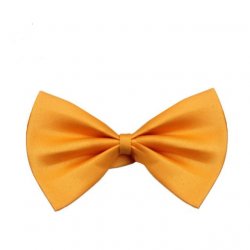 Tie for a dog a cat