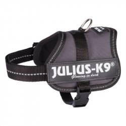 Szelki dla psa Julius-K9 L ZOOPLUS Exclusive