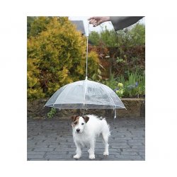 Smycz - parasol dla psa