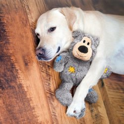 Zdjęcia klientów po zakupie zabawki pluszowej dla psa - MIISIE - Wild Knots Bears rozmiar XS