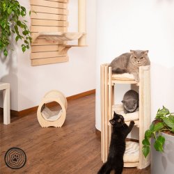 Drapak Prison Break wieża 3 legowiska 76 cm