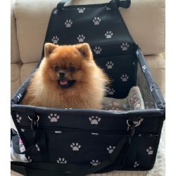 Transporter For A Dog For A Car Seat