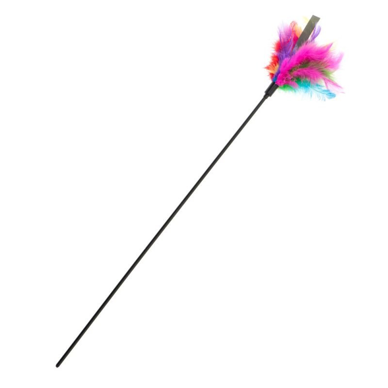 cat fishing rod with colorful feathers