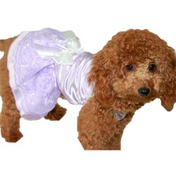 Sukinia ślubna dla psa - kolor fioletowy