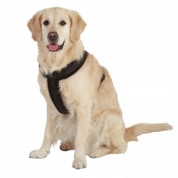 Szelki dla dużego psa uprząż kolor czerwony rozmiar l