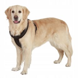 Szelki dla dużego psa uprząż kolor czerwony rozmiar xl