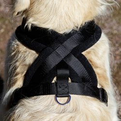 Szelki dla dużego psa uprząż kolor czarny rozmiar l