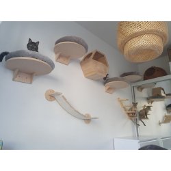 Cat Lair On The Wall 2